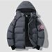 Men's Clothing Men's Raglan Sleeve Down Cotton Jacket With US Shield Print, Casual American Style Cropped Cotton Coat_viptrois.com