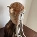 Forest Girl Dress Up Plush Simulation Cute Lace Deer Show Face Small Thick Warm Ear Protection Lei Feng Hat_viptrois.com