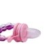 Mother & Kids Baby Fruit And Vegetable Music Rattle Design Food Pacifier Fruit And Vegetable Bag Complementary Food Bite Pacifier_viptrois.com