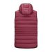 Men's Clothing Vest With Detachable Hood Handsome Vest Silk Cotton Jacket Warm Sleeveless Cotton Clothes_viptrois.com