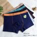 Pulse Special Offer! RC Cotton Mo Spring Summer 40s Men's Printed Fashion Boxer Briefs Series Yueba 2_viptrois.com