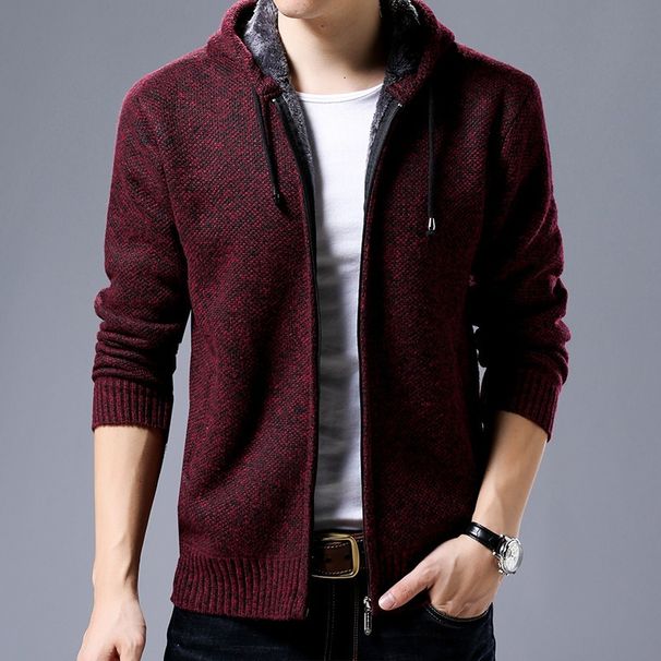Pulse Warm Knitwear Autumn Winter New Fleece Thickened Jacket Men's Stand Collar Cardigan Sweater_viptrois.com