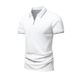 2025d Polo Short Men's 2025 Summer Trendy Brand Turn-down Collar Base T-Shirt Half Sleeve Shirt_viptrois.com