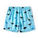 Men's Shorts Triangle Net Inside Dinosaur Print Beach Pants_viptrois.com