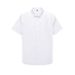 Pulse Pulse Summer New High-End Wrinkle-Resistant DP Pure Cotton Ready-to-Wear Non-Iron Men's Business Professional Short Sleeve_viptrois.com