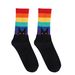 Casual socks hot cat dog rainbow large size cotton socks women's casual cotton women's mid-tube socks_viptrois.com