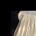 Men's Clothing Color Matching Shorts Summer Thin Loose Casual Sports Shorts_viptrois.com