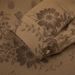Clothing Trendy Brand Floral Full Print Jacquard Design Long-sleeved Shirt Men And Women Loose Casual Hong Kong Style Couple Shirt Jacket_viptrois.com