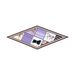 Fashion Hot-Selling Internet Celebrity Style War Horse Diamond Or Women Versatile Diagonal Elegant Small Silk Neck_viptrois.com
