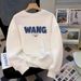 Spring And Autumn Loose And Versatile Casual Bottom Crew Neck Long Sleeve Men's Sweater_viptrois.com