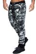 Premium Products Men's Casual With Hip-hop Stripe Design Camouflage Sports Fitness Pants For Men_viptrois.com