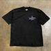 pure Cotton American Sports Cartoon Shark Print Short Sleeved T-shirt For Both Men Women, Loose And Versatile_viptrois.com