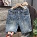 Retro Loose Fitting Cargo Denim Shorts For Men Summer Trendy Style Thin Straight Leg Five Point Pants Cool And Edgy_viptrois.com