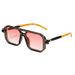 Double Beam Square Frame Sunglasses - Plastic Trendy Style (European & American Internet Celebrity Look, Unisex)_viptrois.com