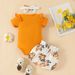 Babies' clothes Baby Short Sleeve Triangle Romper Shorts Set Summer Baby Girl Cute Letter Tops Flower Bow Shorts_viptrois.com
