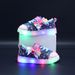 New Spring And Autumn Sneakers For Children, Canvas Shoes, LED Luminous Shoes For Children Aged 1 6, Sports Casual Shoes For Girls_viptrois.com