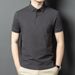 Short T-Shirt Men's 2025 Summer New Loose Middle-Aged Collar Polo Shirt Half Sleeved Casual Top_viptrois.com
