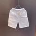 Men's Clothing Summer New Men's Quick Drying Pocket Zipper Cargo Shorts Versatile Loose Couple Thin Section Trousers_viptrois.com