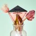 2024 New Perfume SACO Mysterious Women's Perfume Lasting Fragrance Women's Fresh Encounter Fragrance Rose Gift Box_viptrois.com