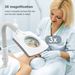 Professional Steamer, 2 In 1 Ozone Facial Steamer On Wheels With 3X Magnifying Lamp, Time Preset Function Design Face_viptrois.com