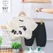 Kindergarten Children's Day Performance 2025 Summer New For Boys Girls Chinese Style Panda Bamboo Leaf Hanfu Brother And_viptrois.com