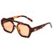 Double Beam Retro Sunglasses - Irregular Frame Design With Vintage Personality For Trendsetters_viptrois.com