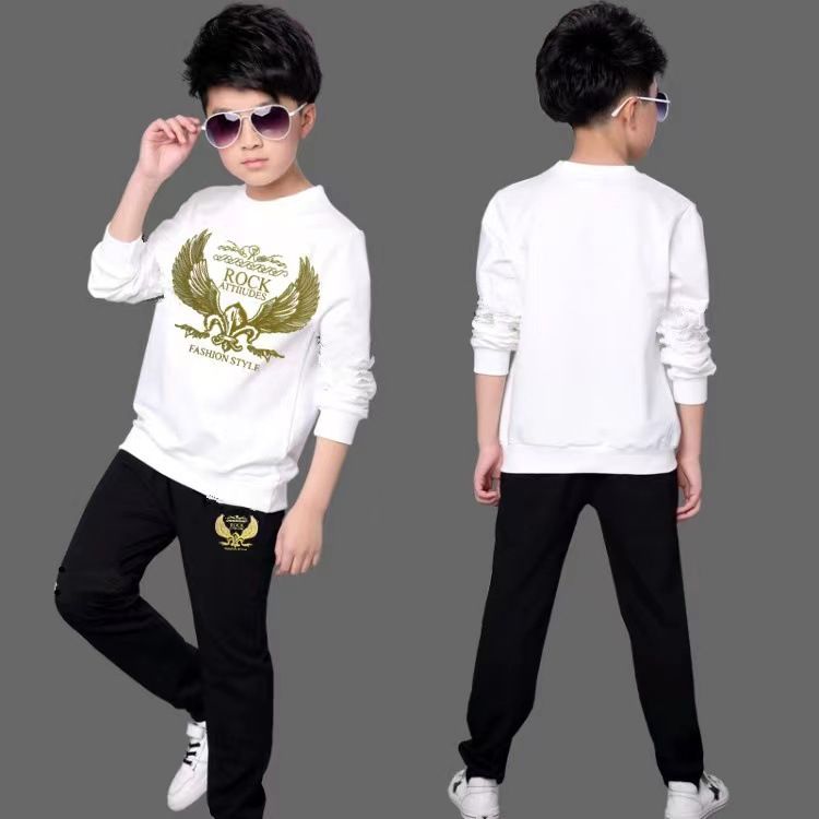 Teenage Clothing casual sports suit boys' sweatshirt pullover long-sleeved two-piece sportswear_viptrois.com