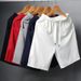 Men's Clothing Men's Summer Thin Quick Drying Mesh Casual Sports Shorts Beach Pants Large Size Elastic Waist_viptrois.com