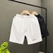 Men's Clothing Summer Breathable Light Luxury Shorts Anti Wrinkle Straight Shorts Simple Solid Color Fashion Quick Drying Beach Pants_viptrois.com