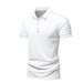 2025d Polo Short Men's 2025 Summer Trendy Brand Turn-down Collar Base T-Shirt Half Sleeve Shirt_viptrois.com