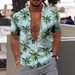 2023 Hawaiian Short Sleeve Men's Polo Neck Shirt Holiday Leisure T-shirt_viptrois.com