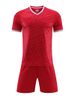 Men's Clothing uniforms suits with printing and numbering for adults and children training suits for outdoor sports competitions_viptrois.com