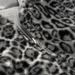 Men's Clothing Hooded Sweatshirt Retro Leopard Print Retro Leopard Print Hoodie With Zip-Up Front, Loose Fit Pullover Sweatshirt For Casual Streetwear_viptrois.com