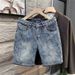 Retro Loose Fitting Cargo Denim Shorts For Men Summer Trendy Style Thin Straight Leg Five Point Pants Cool And Edgy_viptrois.com