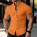 Men's Clothing Short Sleeved Cool Stand Up Collar Handsome Trend Summer Shirt Tops_viptrois.com