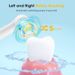 Adult Rotating Electric Toothbrushes Tails Sonic Teeth Whitening Rechargeable 4 Colors Options Timer IPX7 Brush_viptrois.com