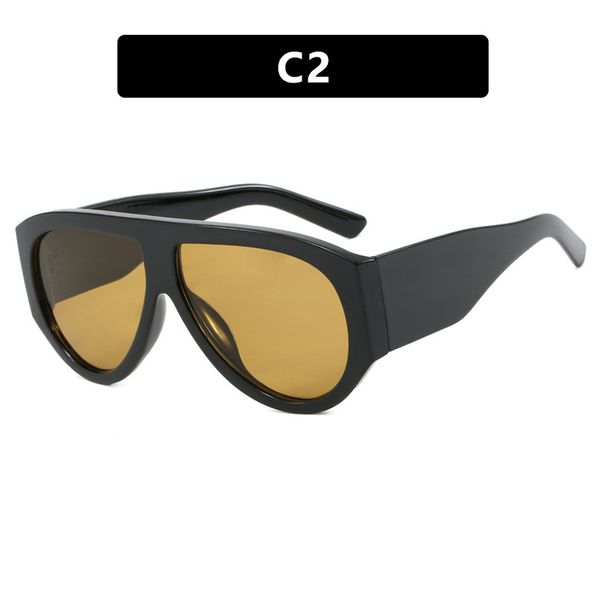 Cross Border Ins Internet Celebrity European And American Ladies Sunglasses Fashion Sunglasses 2024 New Personalized Sunglasses High End_viptrois.com