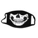 Halloween Adult Cloth Customizable With Filter Insert Dustproof Printed Cotton Mask_viptrois.com