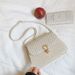 Women's Bags Weaving Fashion Version Spring New Versatile Shoulder Messenger Bag Lock Buckle Stylish Small Square Bag Version_viptrois.com