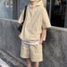 Summer New Workwear Trendy Casual Sports Suit For Men Ice Feel Half-Zip Hoodie Versatile Quick-Dry Short Sleeve Shorts_viptrois.com