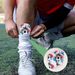 Shin Guard Football Shin Guards Children's Football Inserts Thickened Adult Mini Shin Guards Training Protective Gear_viptrois.com