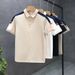 Men's Clothing Summer New Solid Color Polo Shirt Men's Literary Fashion Short Sleeve Youth Popular Short Sleeve Casual Versatile T Shirt_viptrois.com