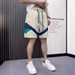 Men's Summer Casual Ice Silk Shorts Versatile Mid-Length Loose Fit Striped Pants Trendy Elastic Waist_viptrois.com