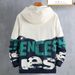 Men's Clothing New Spring And Autumn Large Size Loose Teenager Student Casual Printed Hoodie_viptrois.com