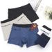 Pulse Plus European Size Men's High Waist Cotton Double Pocket Zipper Pants Boxer Briefs Anti-theft Underwear Men_viptrois.com