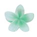 Cute Matte Color Gradient 4-Piece Bauhinia Small Half-Up Claw Clips - Sweet Princess Hair Accessories_viptrois.com