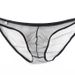 Pulse Men's Underwear Export European And American Style Sheer Fine Mesh Pouch Low Waist Briefs Plus Size C-034_viptrois.com