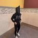 Glow-in-the-Dark Rhinestone Zip Hoodie – Unisex Halloween Streetwear (S-XL) – Punk Rock Pullover With Iridescent Studs_viptrois.com