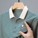 2024 Summer New Shirt Men's Polo Collar Thin Middle And Elderly T-shirt Short Sleeved Striped Top_viptrois.com