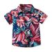 Hawaiian Shirt Multi Color Children's Lapel Trendy Cardigan Beach Hair Holiday Short Sleeved Flower Top Casual Jacket_viptrois.com